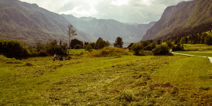 Slovenia – Bohinj