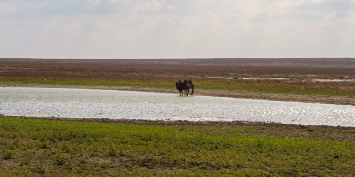 Kazakhstan